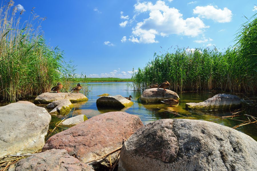 Śniardwy – największe jezioro w Polsce 