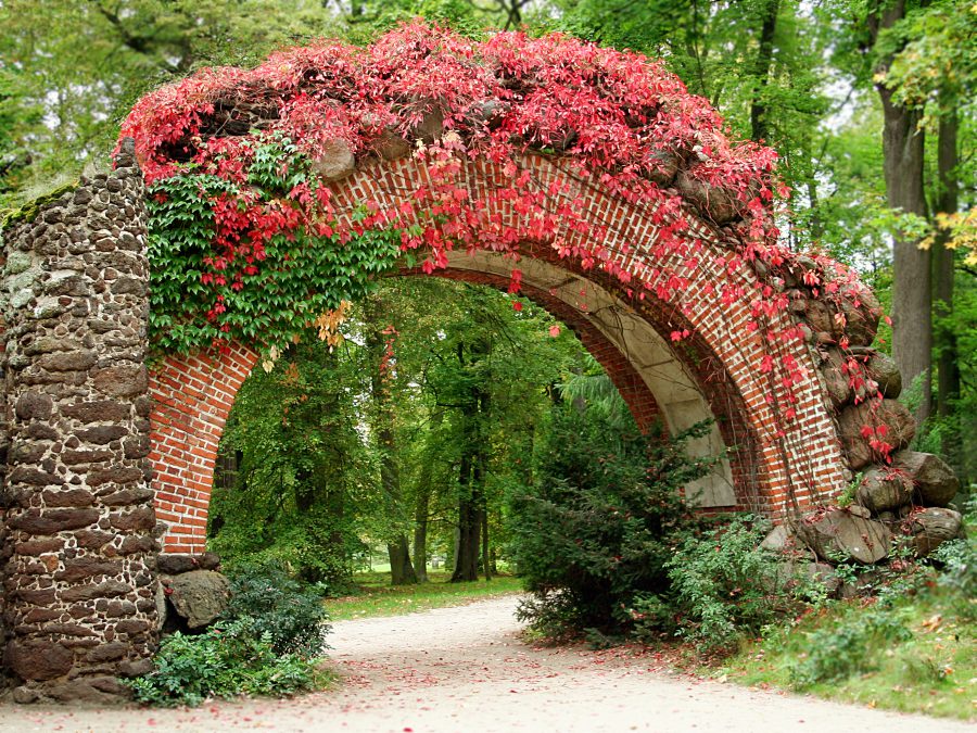 najpiękniejsze ogrody w Polsce