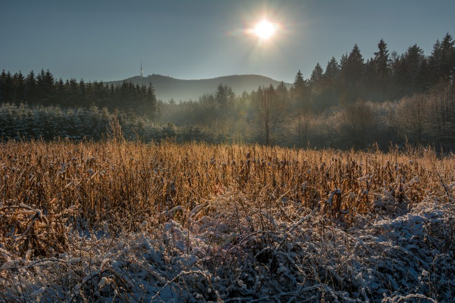 Góra Ślęża w zimowej aurze, fot. Shutterstock