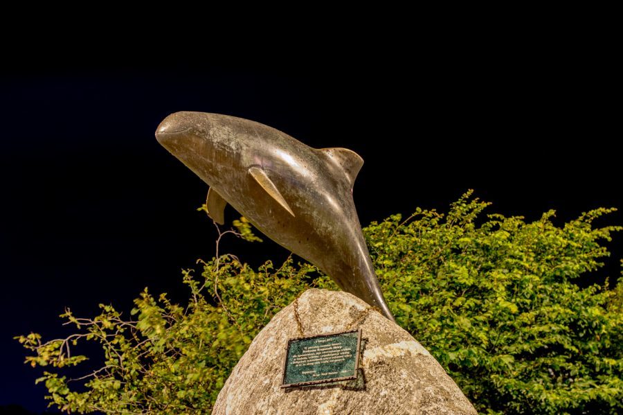 pomnik morświna gdynia