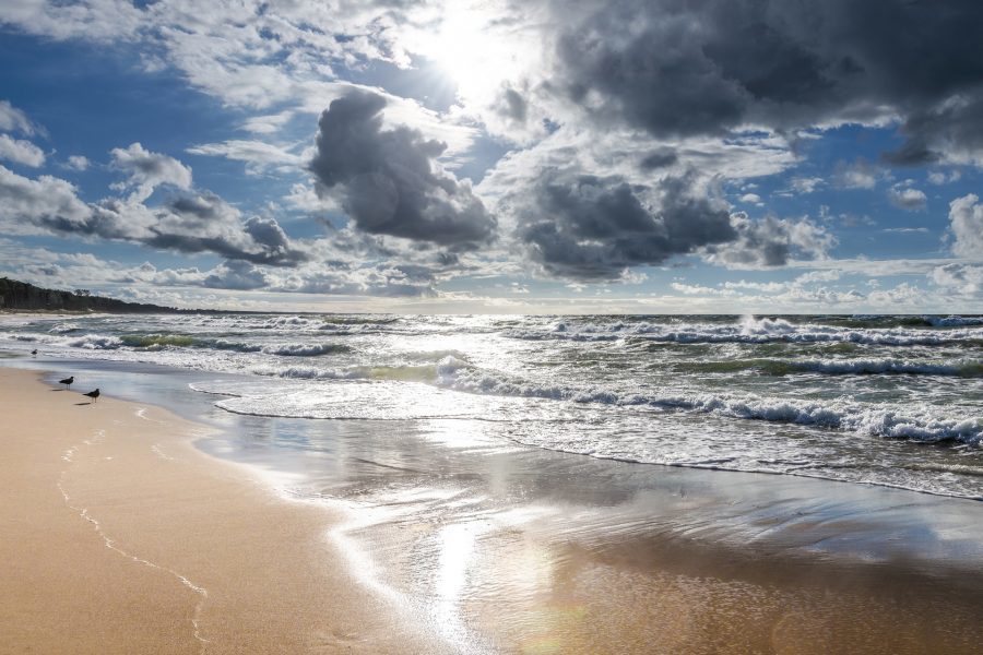 piaszczysta plaża Bałtyk mielno
