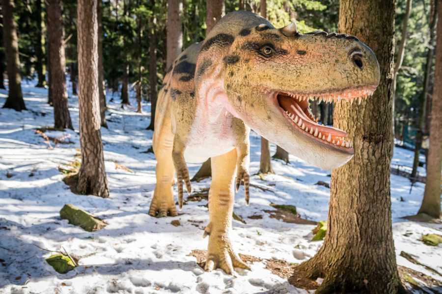 Szklarska Poręba atrakcje – Park Dinozaurów