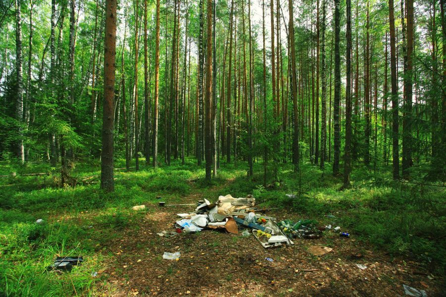 sterta śmieci w zielonym lesie