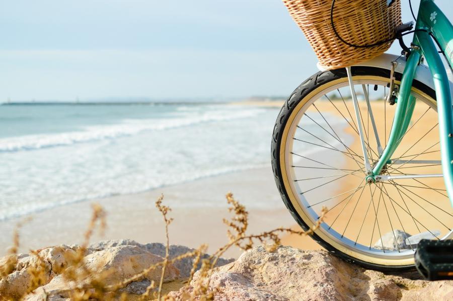 rower nad morzem na plaży