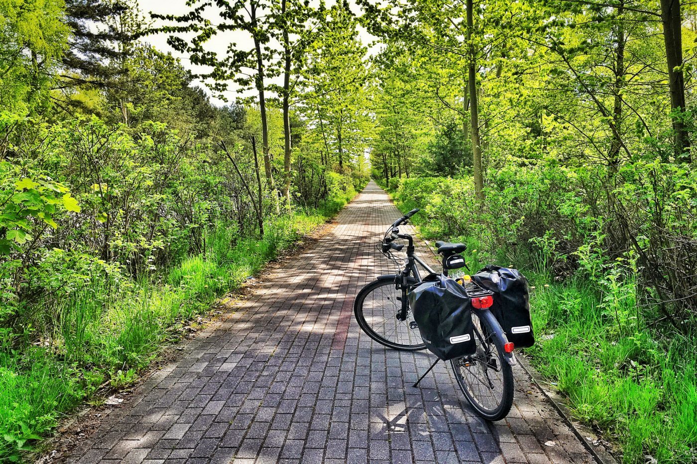 trasy rowerowe we władysławowie