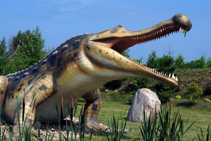 dinozaur sarkozuch, prehistoryczny krokodyl w JuraParku w Łebie