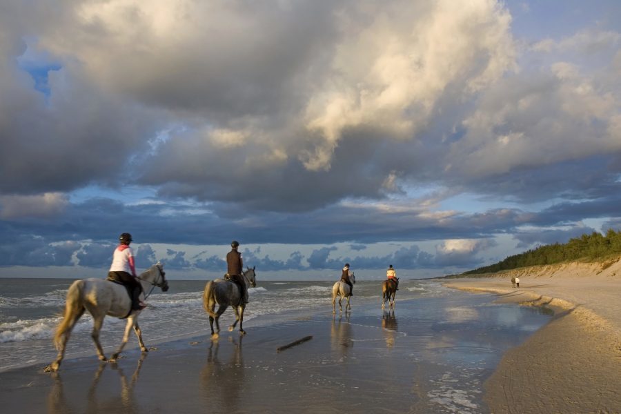 ludzie na koniach na plaży w łebie