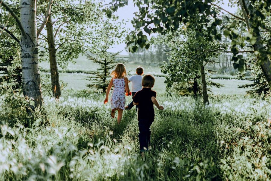 dzieci biegające po lesie