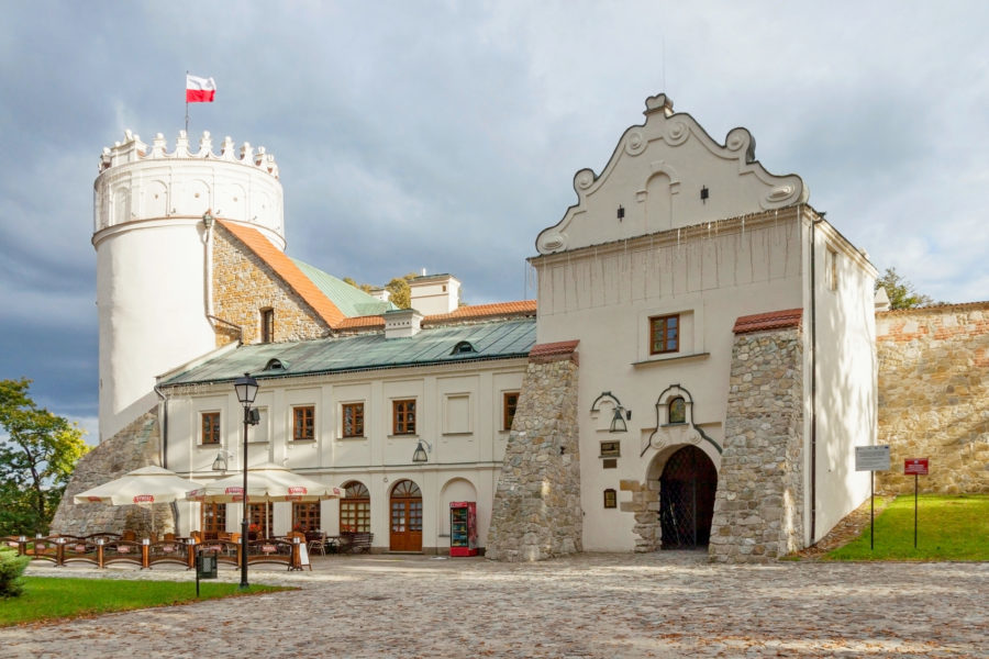 zamek kazimierzowski w przemyślu