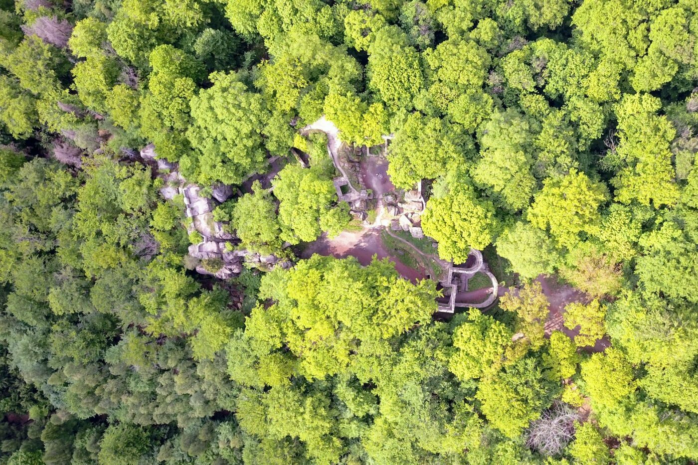 Zamek Bolczów z drona