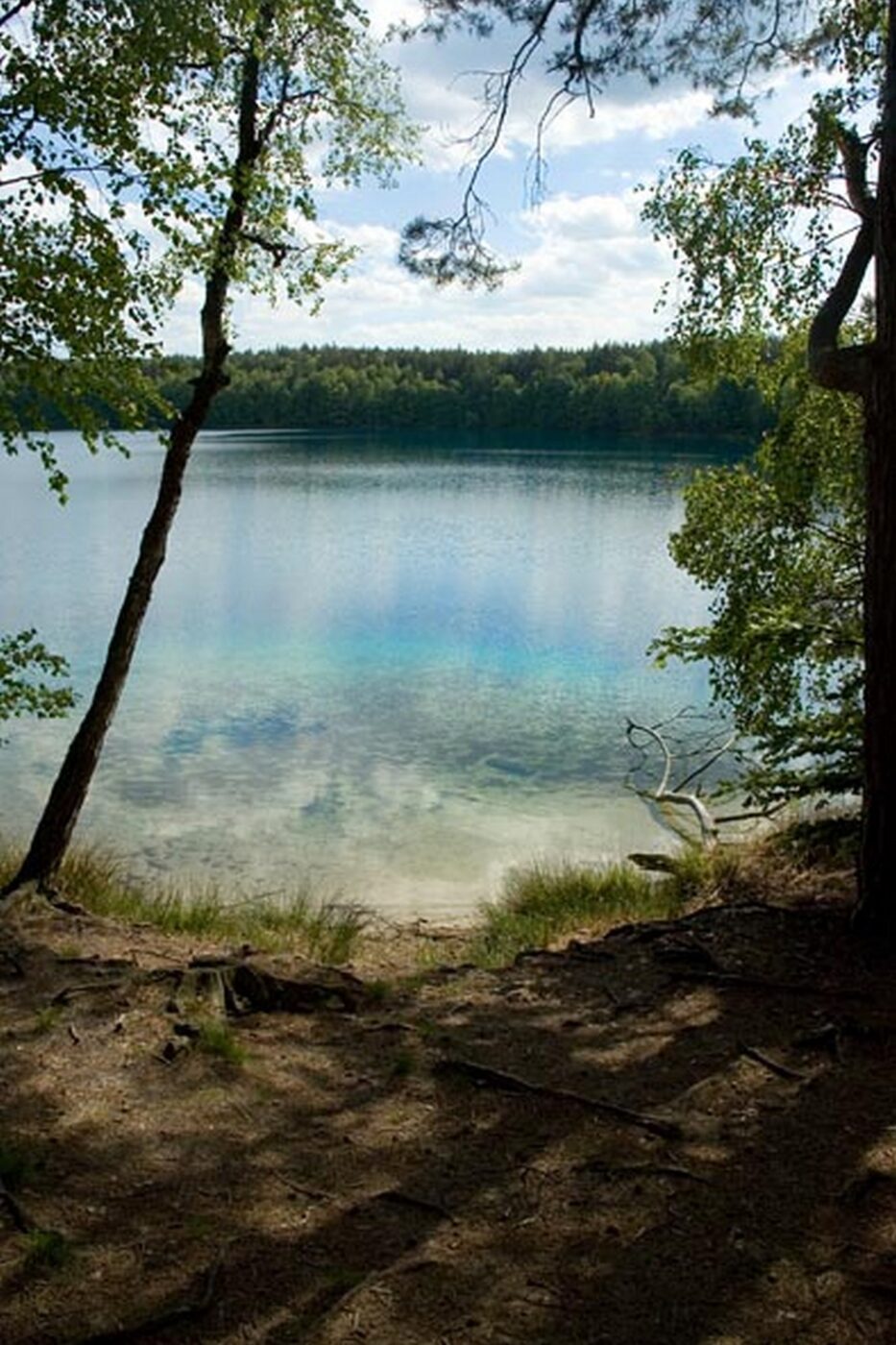 Jezioro Jasne Czyste, Pojezierze Iławskie